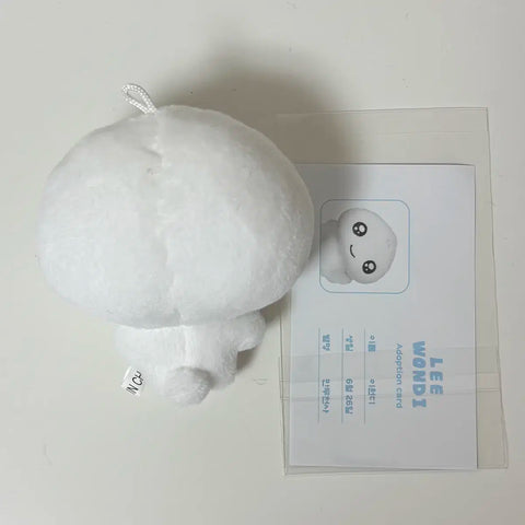 ILLIT Wonhee doll Lee Wondy transfer