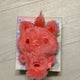Color Wish Doll Red Sioning