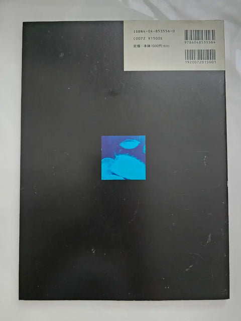 Arashi Ninomiya Kazunari Blue Flame Photobook