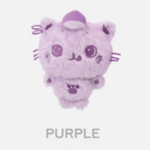 Color Wishdoll Kuri Purple Transfer Pop-up Riku NCT Wish