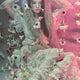 IU Lilac Album - 5th Full Album LILAC Lilac Hilac ver.