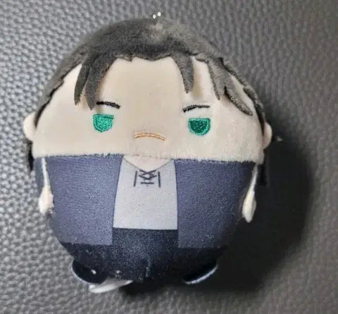 Attack on Titan 19 Eren Fuwa Kororin