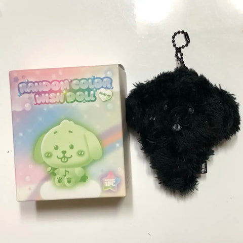 Color Wishdoll Jaehee Daengtriever Secret Black NCT Wish Pop-up