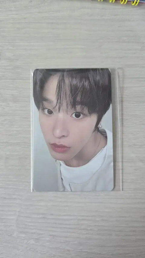 NCT Wish Riku Color Showcase Photocard