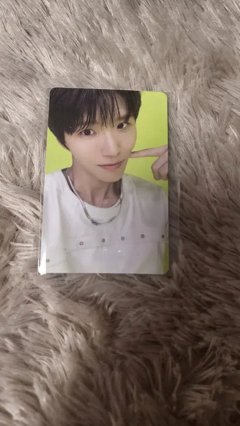 NCT WISH Jaehee SM special benefit sale