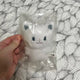 BbokNyang Felix Plush Doll