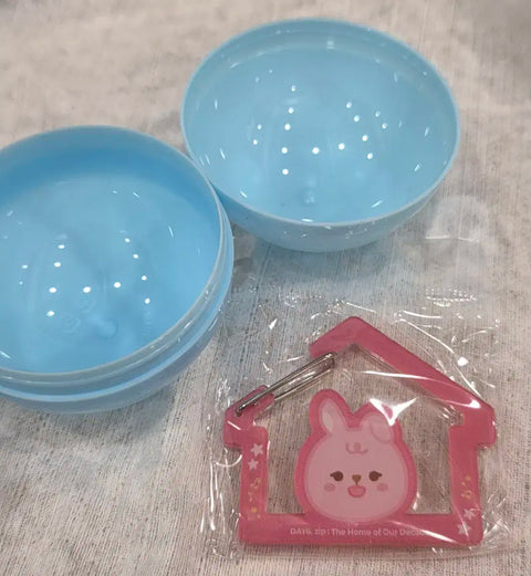 DAY6 Pop-up Carabiner Pil-ki