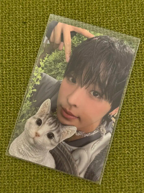 Color Lickoo Photocard