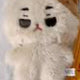 Urgent sale) RickyNyang