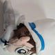 Detective Conan Kaito Kid Nui for sale