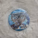 Detective Conan Shinichi Kudo Badge