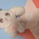 ENHYPEN in Treasure Photocard Set + Haetmong Plush Doll