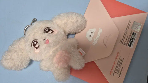 ENHYPEN in Treasure Photocard Set + Haetmong Plush Doll