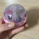 Clumsy Cat Gacha Figure Unopened Transfer Sale
