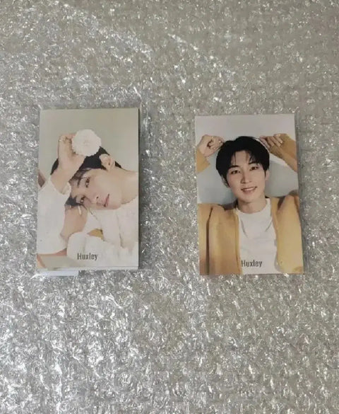 Huxley Wonwoo Postcard 5ea as a set
