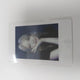 Autumn Photocard