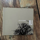 IU Lost and Found album