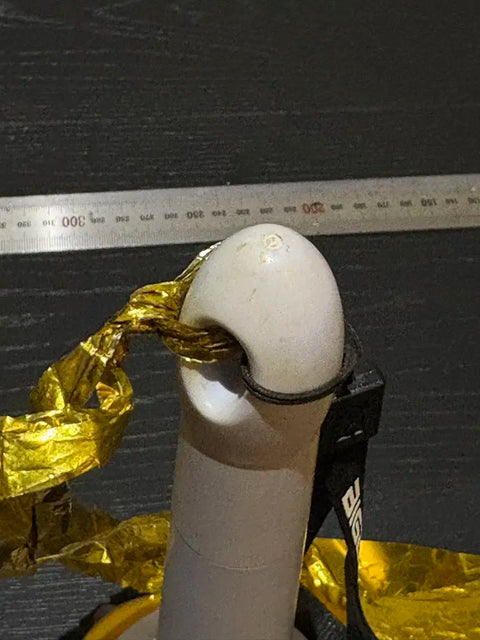 Bangbong White