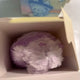 Color Wishdoll Wibubu Purple Bubble Cat Yuushi Polapo Bubble Cat