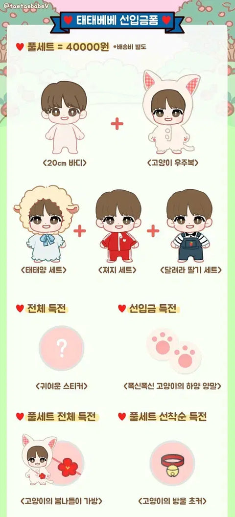 BTS V Bangtan V Doll Taetae Bebe Full Set Original Price Transfer