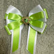 Cheering stick ribbon