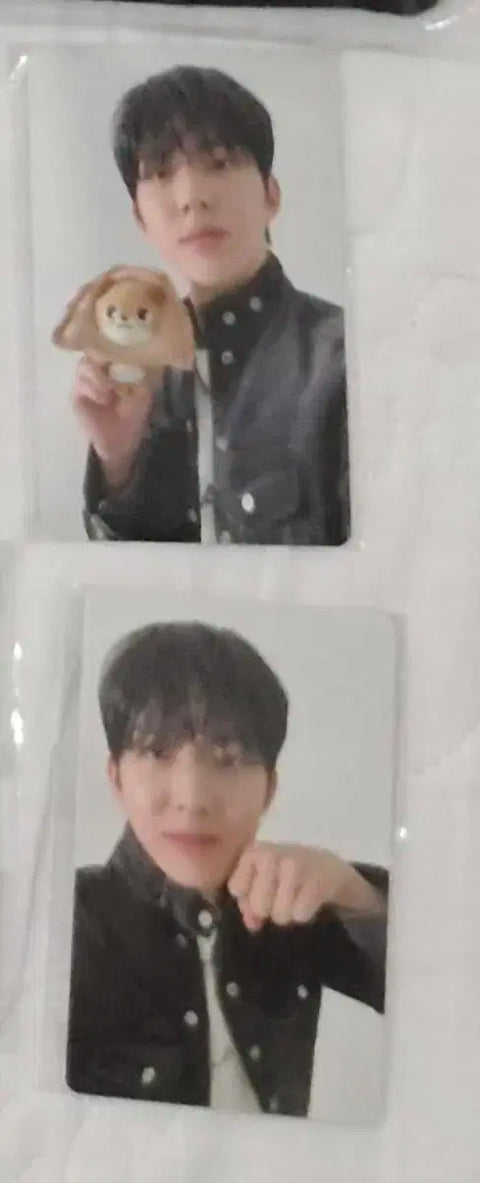 Day6 Finale Concert Online 40,000 KRW Photocard Dowoon Bundle Transfer