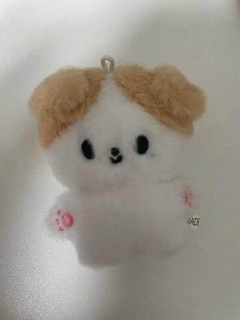 Jeongwoo doll mini Jjeongtori transfer