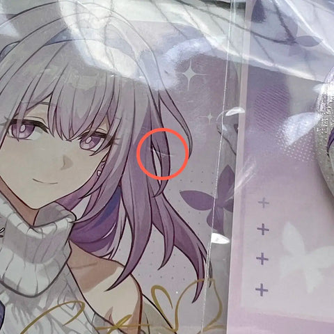Honkai Star Rail Castoris Collaboration Acrylic Stand Shikishi Can Badge Set