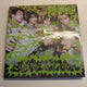 Bonedo Unsealed Album (No Photocards), Full Set