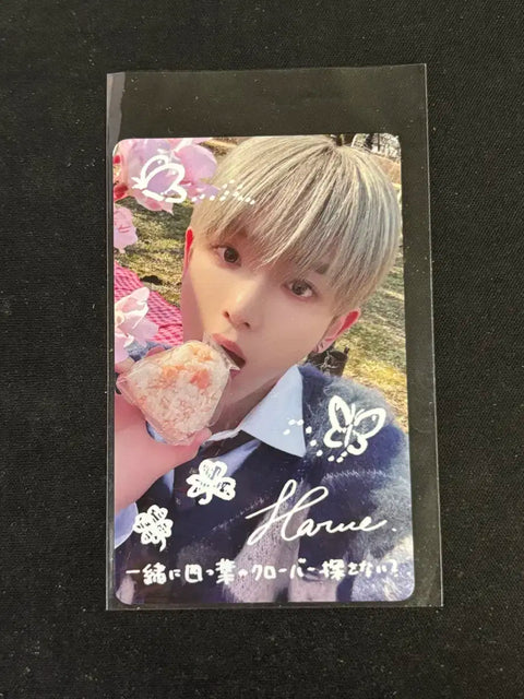 &TEAM HARUA Coind Blind Deco Bento Lunchbox Lucky Draw Photocard