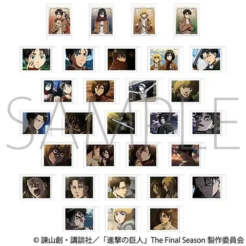 Attack on Titan Pasha Colle