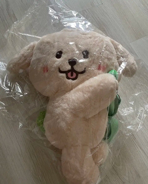 NCT WISH Jaehee Wishdoll Daengtrieber Light Stick Bag Unboxing Transfer