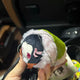 Demon Slayer Kimetsu no Yaiba Sakura Mochi Nezuko Plush Doll