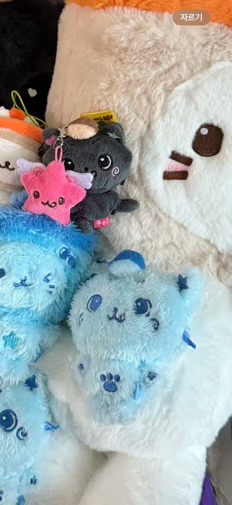 Blue Cure Wishdoll
