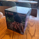 Hunter x Hunter Chimera Ant Lottery Gon C Prize Unopened