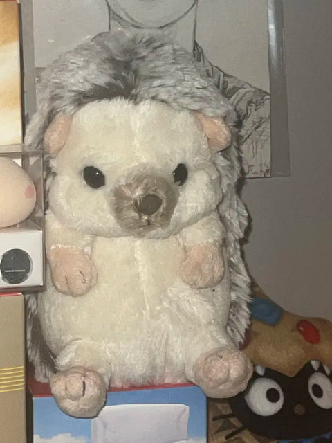 Fluffy Animal Doyoung Son Min-soo Hedgehog Ddochi Sun Lemon