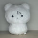 Boynextdoor Bonedo Woonhak-gom Kim Woon-hak doll