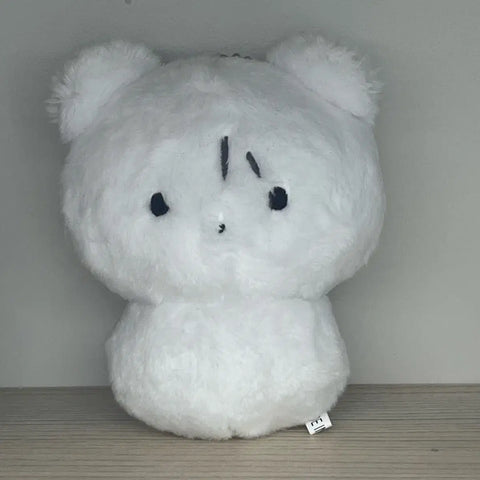 Boynextdoor Bonedo Woonhak-gom Kim Woon-hak doll