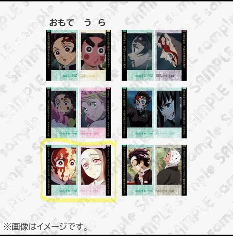 Demon Slayer Cheki-style Random Bromide Nezuko Tanjiro