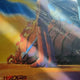 Nausicaä of the Valley of the Wind Hologram Poster for Sale