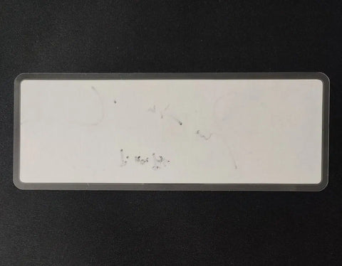 Actor Jung Hae-in's Autographed Signature