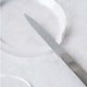 [✈️KOREA] Daiso - Stainless Steel Nail Care File