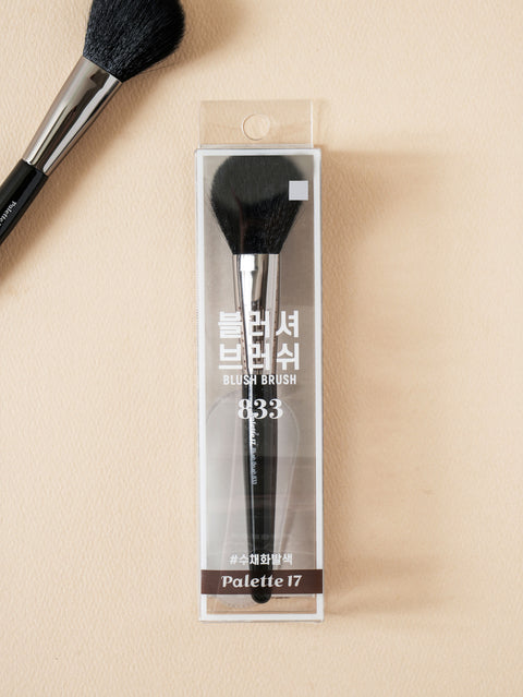 [✈️KOREA] Daiso - Palette 17 Blusher Brush