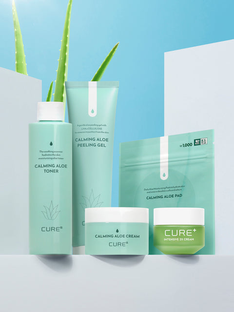 [✈️KOREA] Daiso - Kim Jung Moon Aloe Cure Alpha Calming Aloe Pad 4 sheets