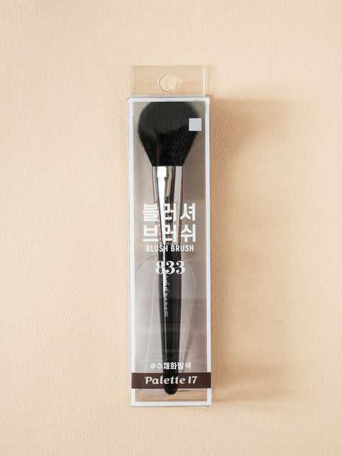 [✈️KOREA] Daiso - Palette 17 Blusher Brush