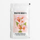 [✈️KOREA] Daiso - Balsam Flower Dyeing Kit